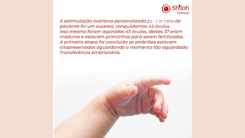 A exposição a disruptores endócrinos pode afetar a reprodução, alerta Oluwatosin Tolulope Ajidahun.
